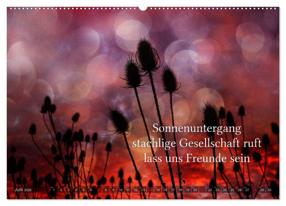 Haiku - Gedichte in 17 Silben (CALVENDO Premium Wandkalender 2026)