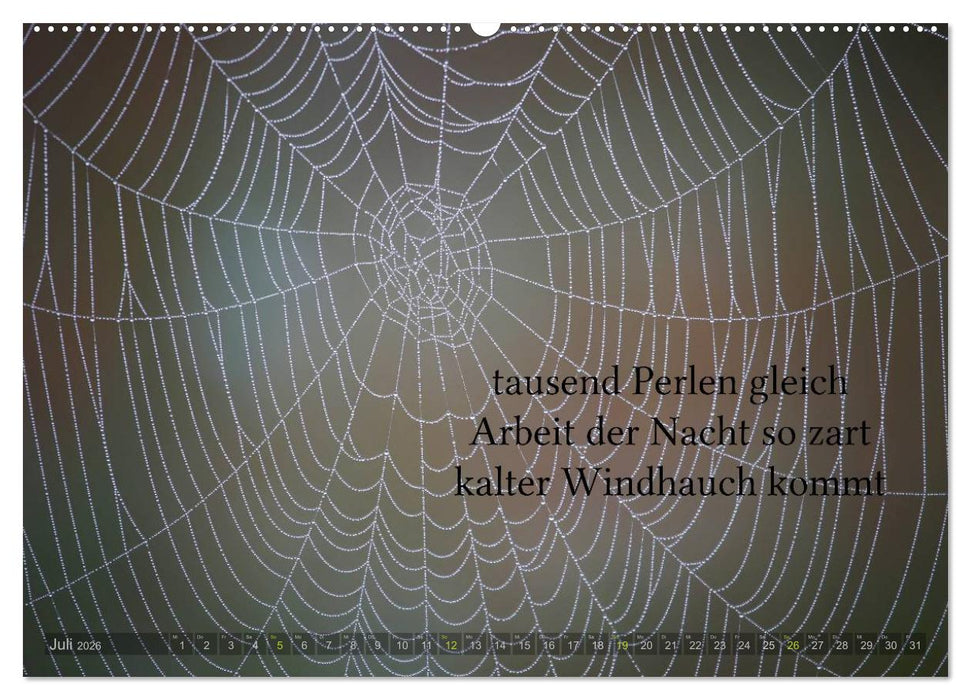 Haiku - Gedichte in 17 Silben (CALVENDO Premium Wandkalender 2026)