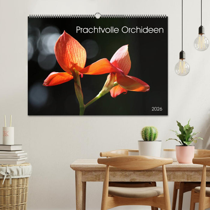 Prachtvolle Orchideen (CALVENDO Wandkalender 2026)