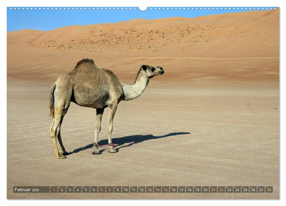 Sultanat Oman (CALVENDO Wandkalender 2026)