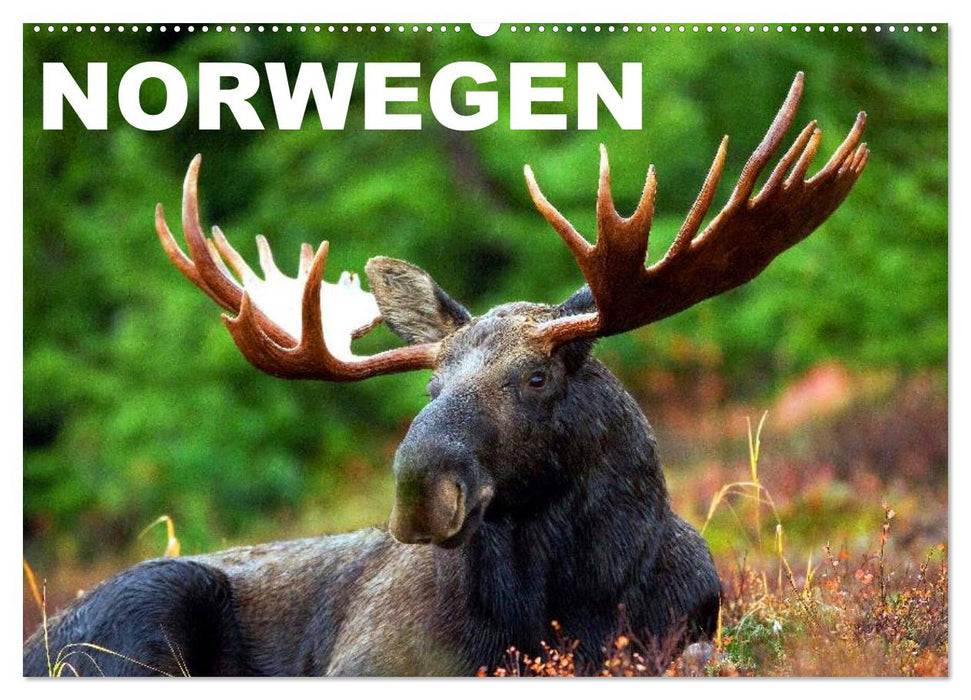 Norwegen (CALVENDO Wandkalender 2026)