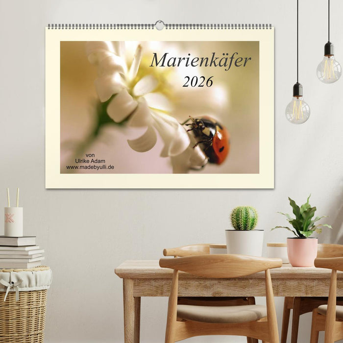 Marienkäfer / 2026 (CALVENDO Wandkalender 2026)