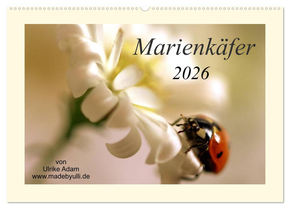 Marienkäfer / 2026 (CALVENDO Wandkalender 2026)