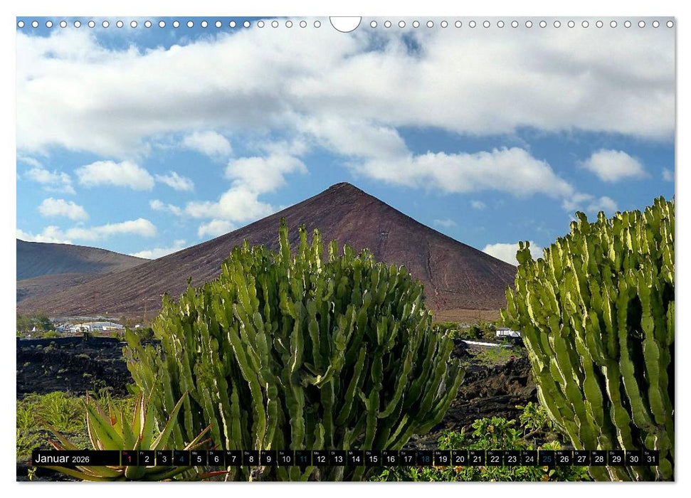 Vulkaninsel Lanzarote (CALVENDO Wandkalender 2026)