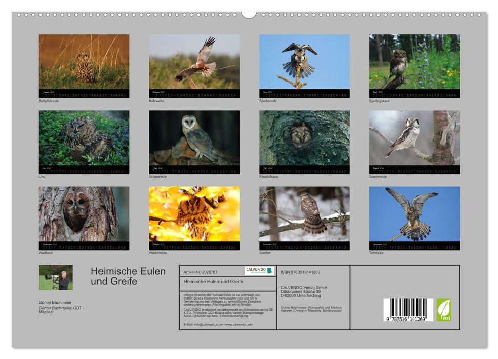 Heimische Eulen und Greife (CALVENDO Premium Wandkalender 2026)