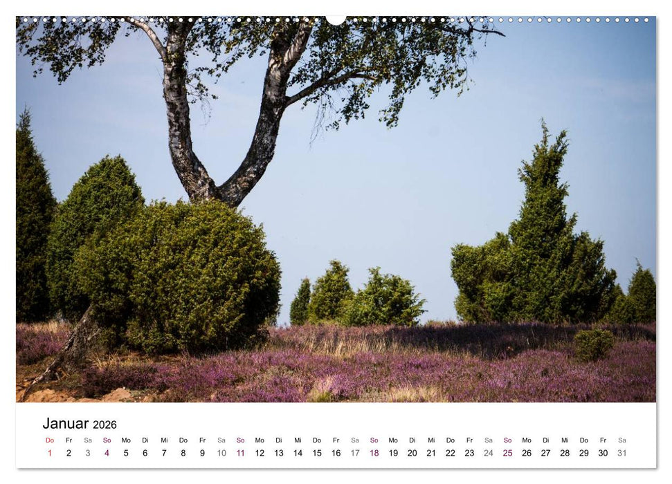 Lüneburger Heide (CALVENDO Premium Wandkalender 2026)