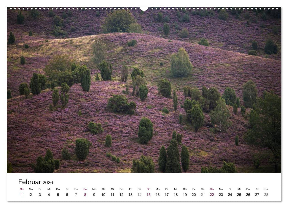 Lüneburger Heide (CALVENDO Premium Wandkalender 2026)