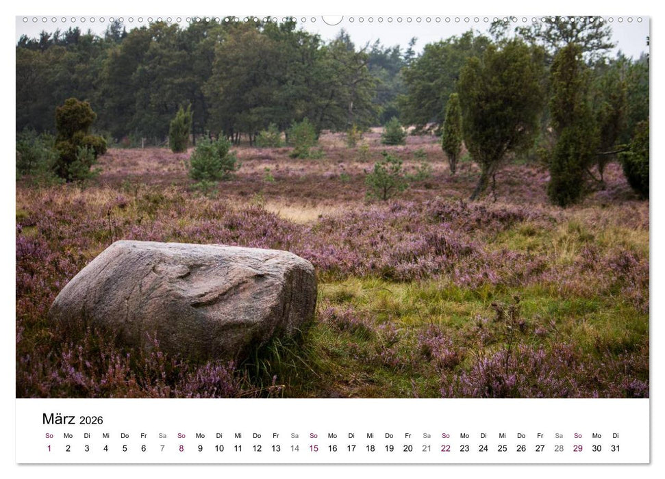 Lüneburger Heide (CALVENDO Premium Wandkalender 2026)