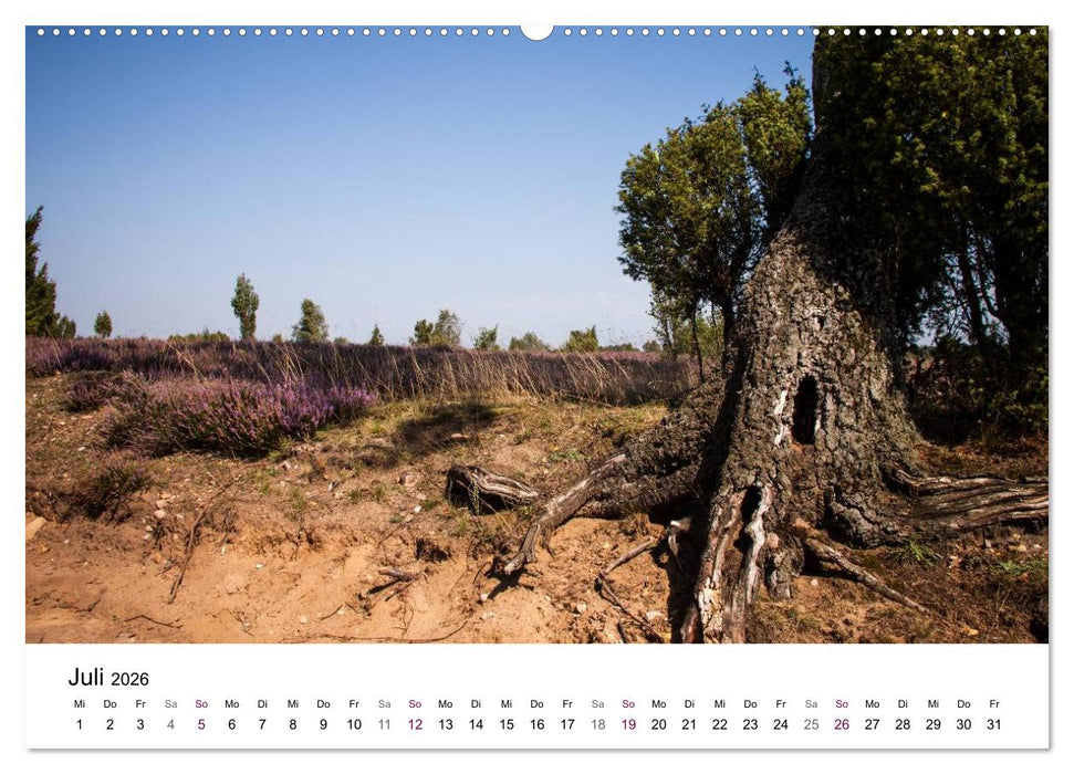Lüneburger Heide (CALVENDO Premium Wandkalender 2026)