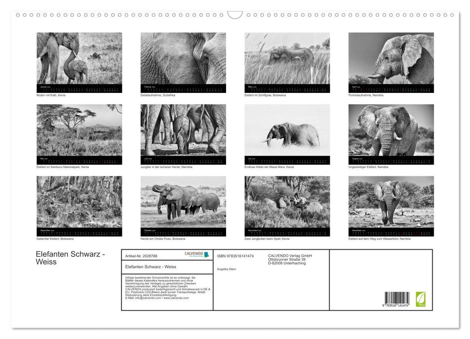 Elefanten Schwarz - Weiss (CALVENDO Wandkalender 2026)