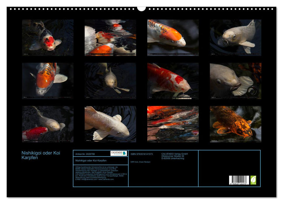 Nishikigoi oder Koi Karpfen (CALVENDO Wandkalender 2026)