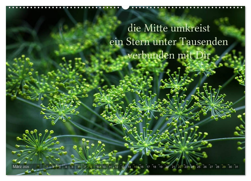 Haiku - Gedichte in 17 Silben (CALVENDO Wandkalender 2026)