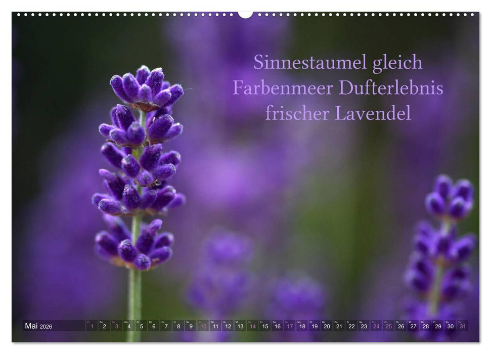 Haiku - Gedichte in 17 Silben (CALVENDO Wandkalender 2026)