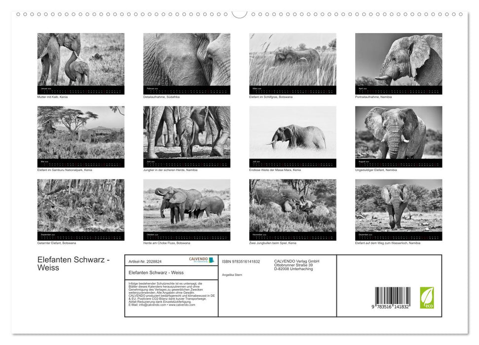 Elefanten Schwarz - Weiss (CALVENDO Premium Wandkalender 2026)
