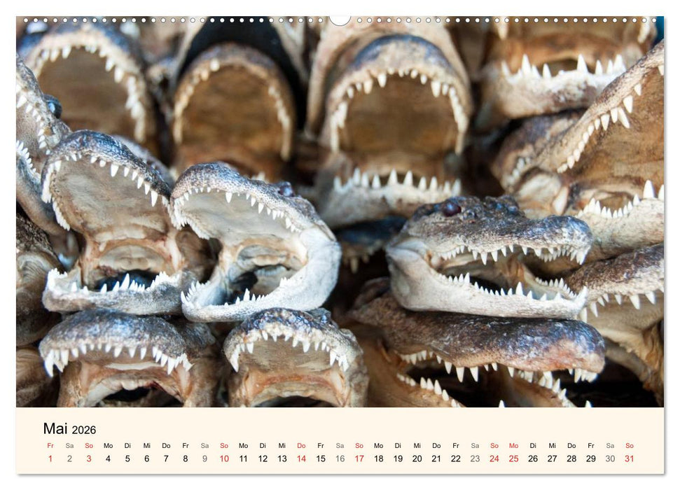 Sommer in New Orleans (CALVENDO Wandkalender 2026)