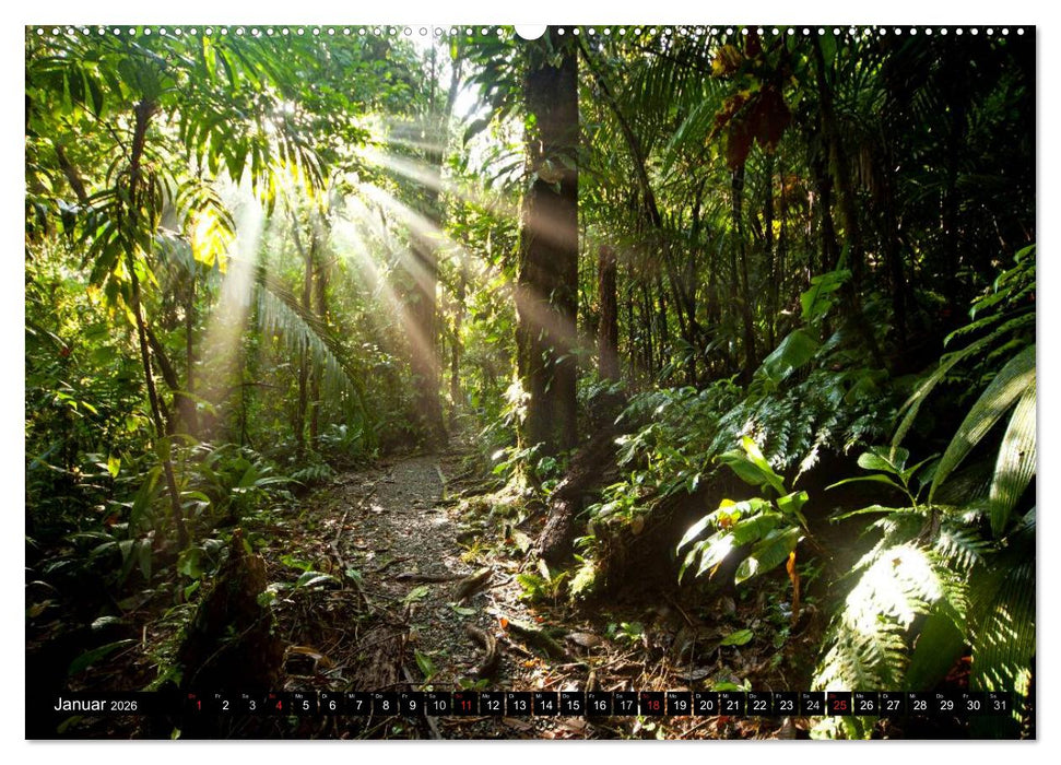 Traumreisen (CALVENDO Premium Wandkalender 2026)