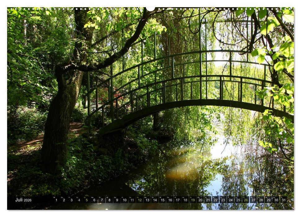 Bäume (CALVENDO Premium Wandkalender 2026)