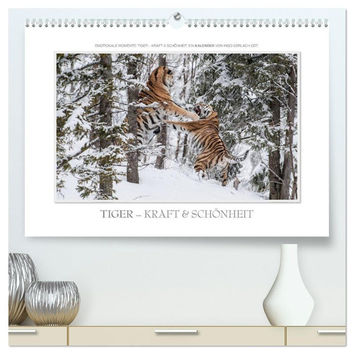 Emotionale Momente: Tiger - Kraft & Schönheit. / CH-Version (CALVENDO Premium Wandkalender 2026)