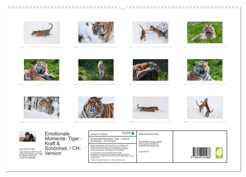 Emotionale Momente: Tiger - Kraft & Schönheit. / CH-Version (CALVENDO Premium Wandkalender 2026)