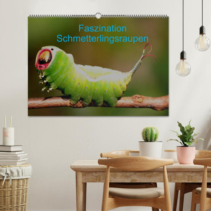 Faszination Schmetterlingsraupen (CALVENDO Wandkalender 2026)