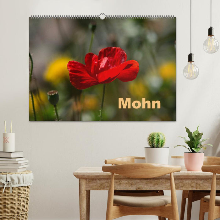 Mohn (CALVENDO Wandkalender 2026)