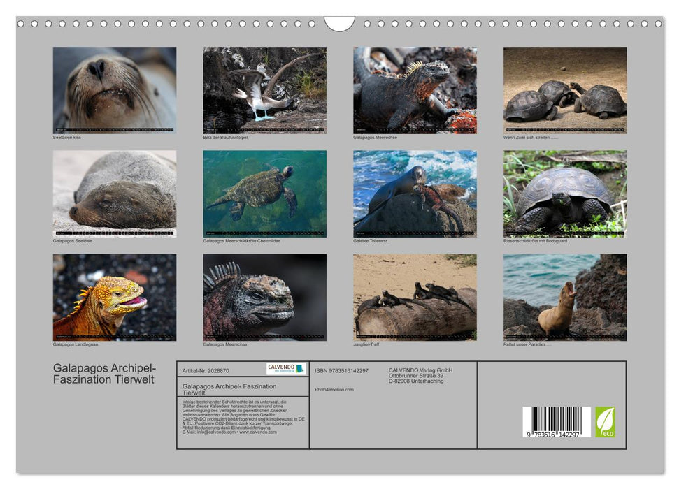 Galapagos Archipel- Faszination Tierwelt (CALVENDO Wandkalender 2026)