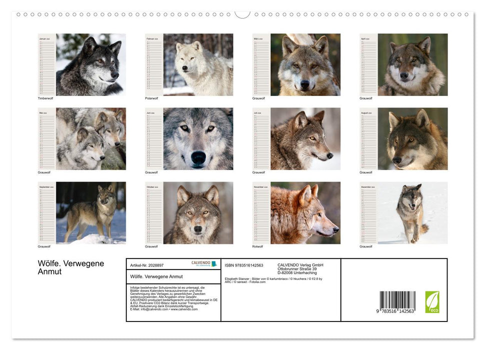 Wölfe. Verwegene Anmut (CALVENDO Premium Wandkalender 2026)