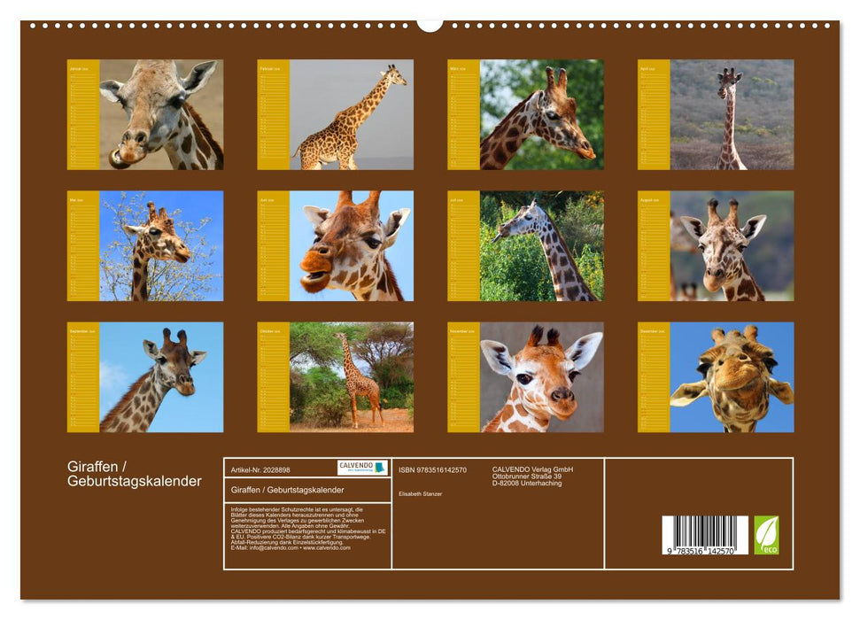 Giraffen / Geburtstagskalender (CALVENDO Premium Wandkalender 2026)