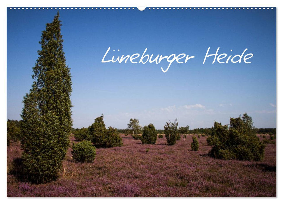 Lüneburger Heide (CALVENDO Wandkalender 2026)