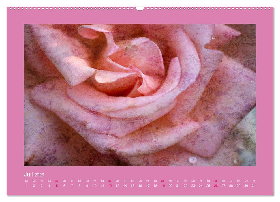 Romantische Rosen (CALVENDO Premium Wandkalender 2026)