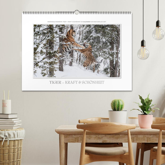 Emotionale Momente: Tiger - Kraft & Schönheit. / CH-Version (CALVENDO Wandkalender 2026)