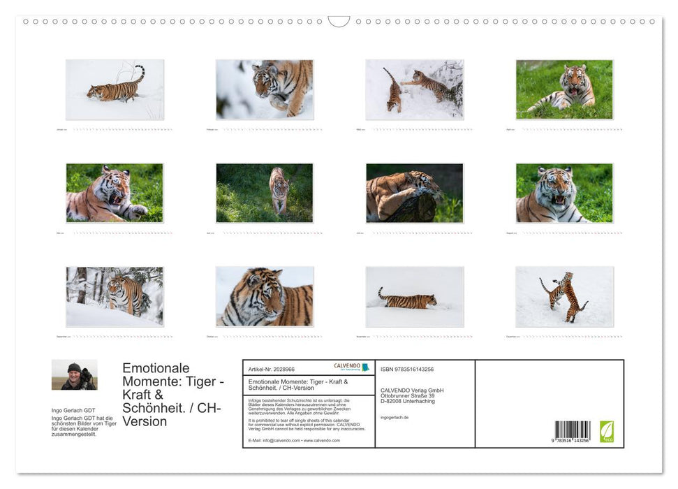 Emotionale Momente: Tiger - Kraft & Schönheit. / CH-Version (CALVENDO Wandkalender 2026)