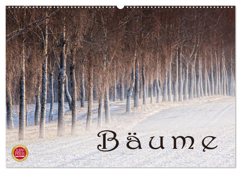 Bäume (CALVENDO Wandkalender 2026)