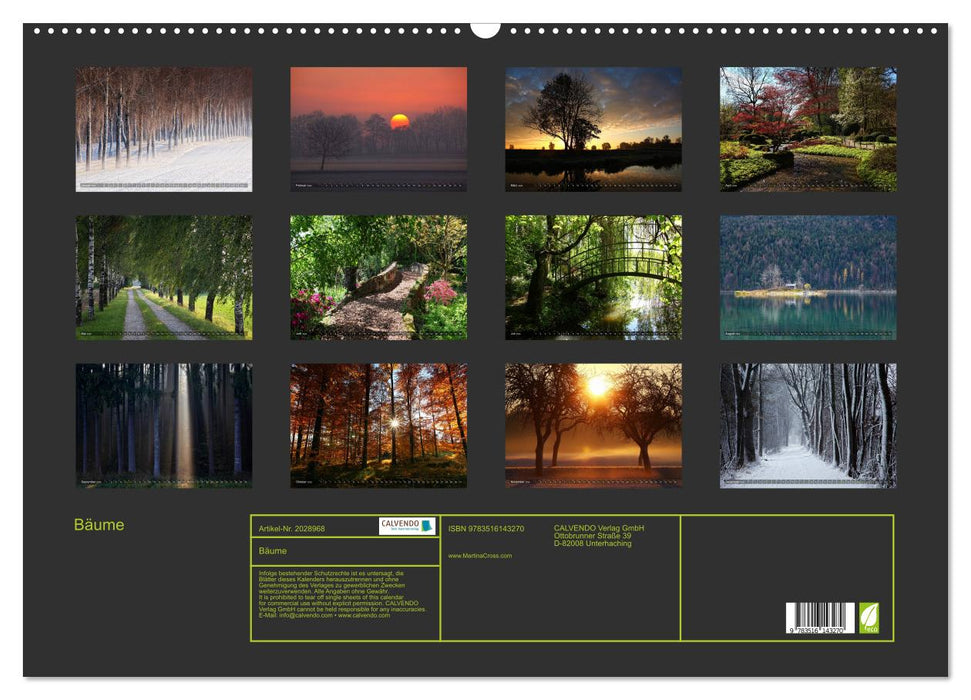 Bäume (CALVENDO Wandkalender 2026)