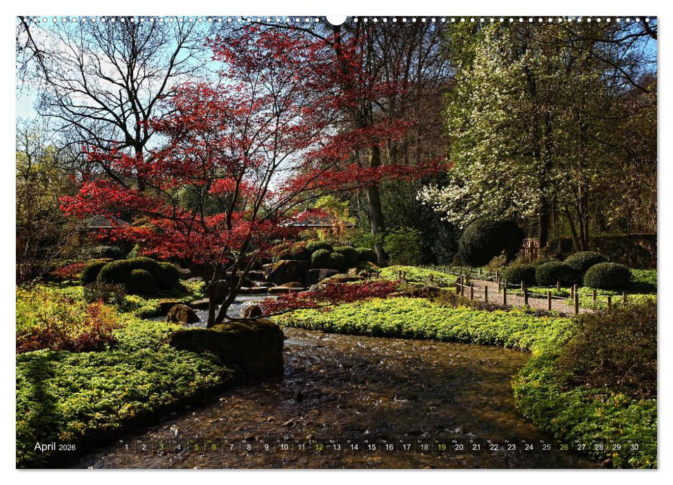 Bäume (CALVENDO Wandkalender 2026)