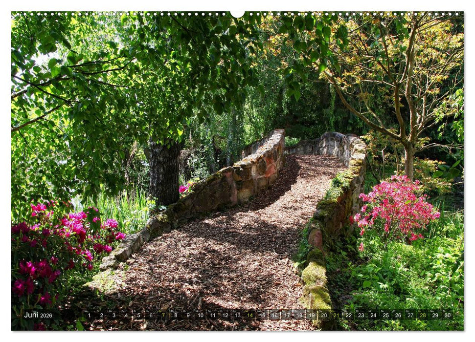 Bäume (CALVENDO Wandkalender 2026)