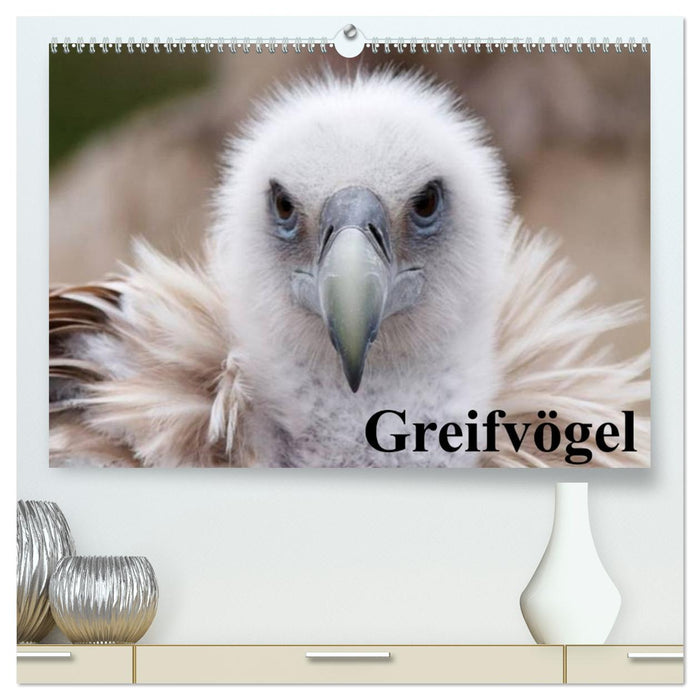 Greifvögel (CALVENDO Premium Wandkalender 2026)