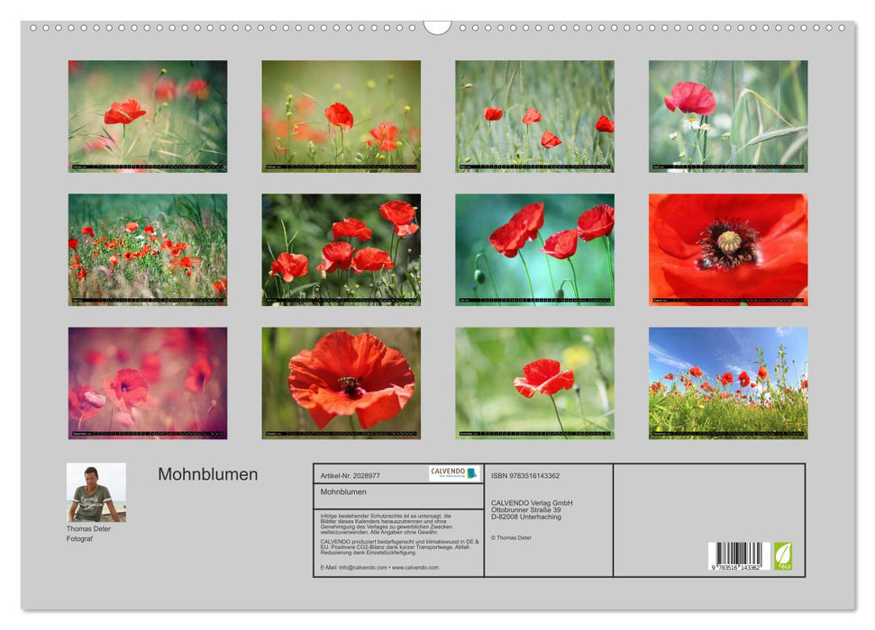 Mohnblumen (CALVENDO Wandkalender 2026)