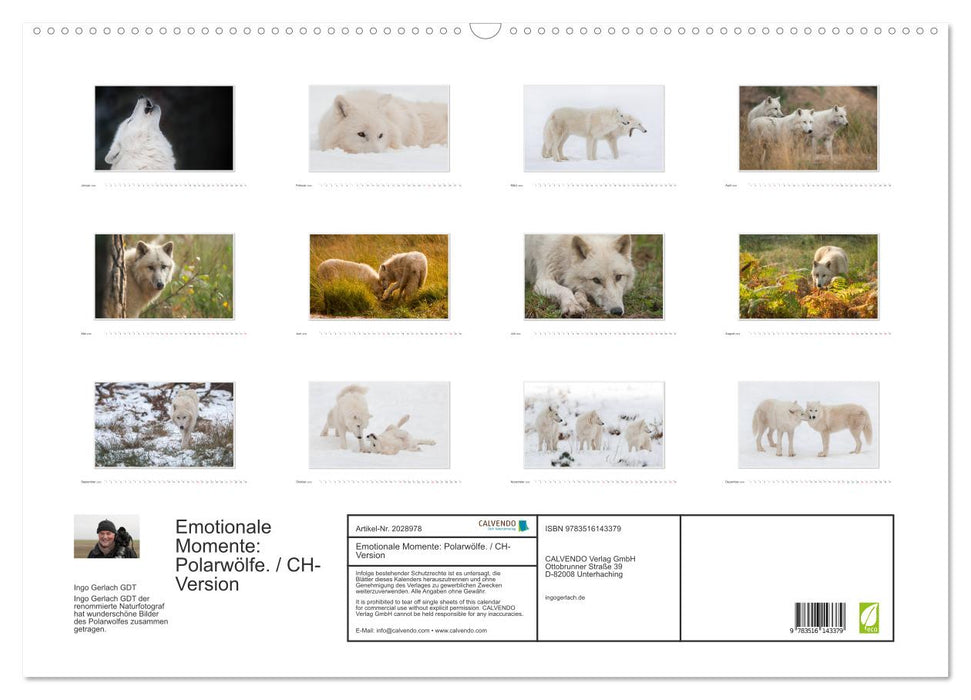 Emotionale Momente: Polarwölfe. / CH-Version (CALVENDO Wandkalender 2026)