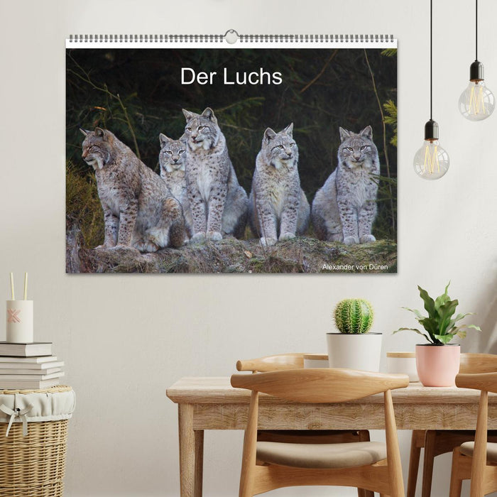 Der Luchs (CALVENDO Wandkalender 2026)