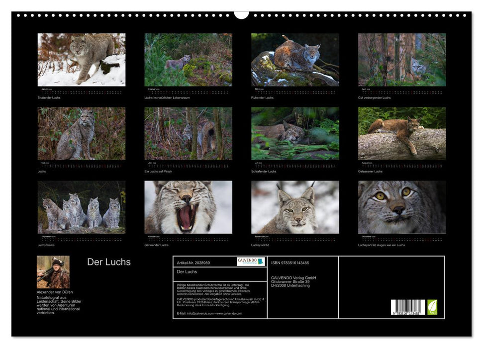 Der Luchs (CALVENDO Wandkalender 2026)