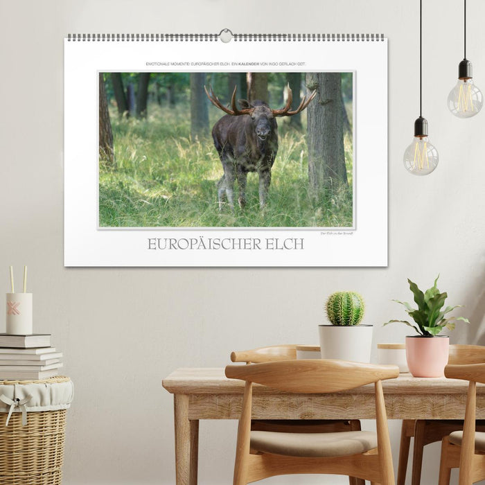 Emotionale Momente: Europäischer Elch. / CH-Version (CALVENDO Wandkalender 2026)