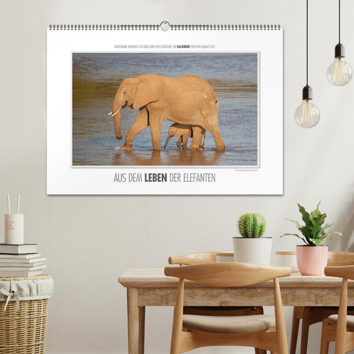 Emotionale Momente: Aus dem Leben der Elefanten. / CH-Version (CALVENDO Wandkalender 2026)