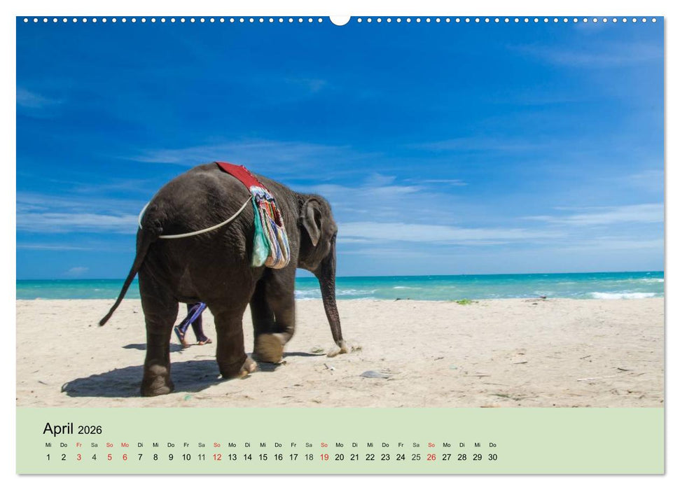 Elefanten. Badespaß am Strand (CALVENDO Premium Wandkalender 2026)