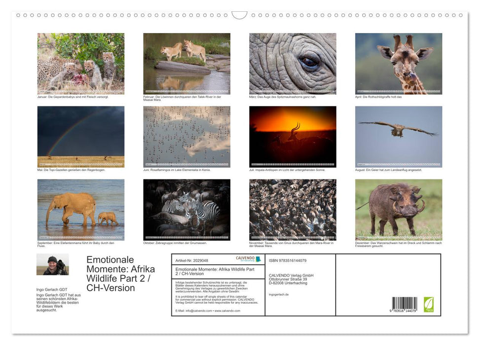Emotionale Momente: Afrika Wildlife Part 2 / CH-Version (CALVENDO Wandkalender 2026)