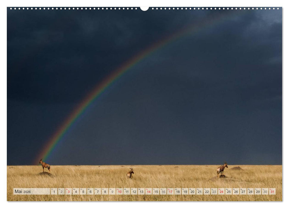 Emotionale Momente: Afrika Wildlife Part 2 / CH-Version (CALVENDO Wandkalender 2026)