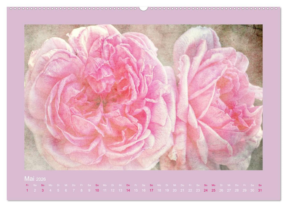 Romantische Rosen (CALVENDO Wandkalender 2026)