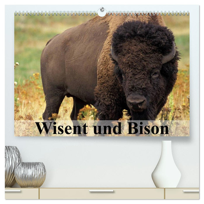 Wisent und Bison (CALVENDO Premium Wandkalender 2026)
