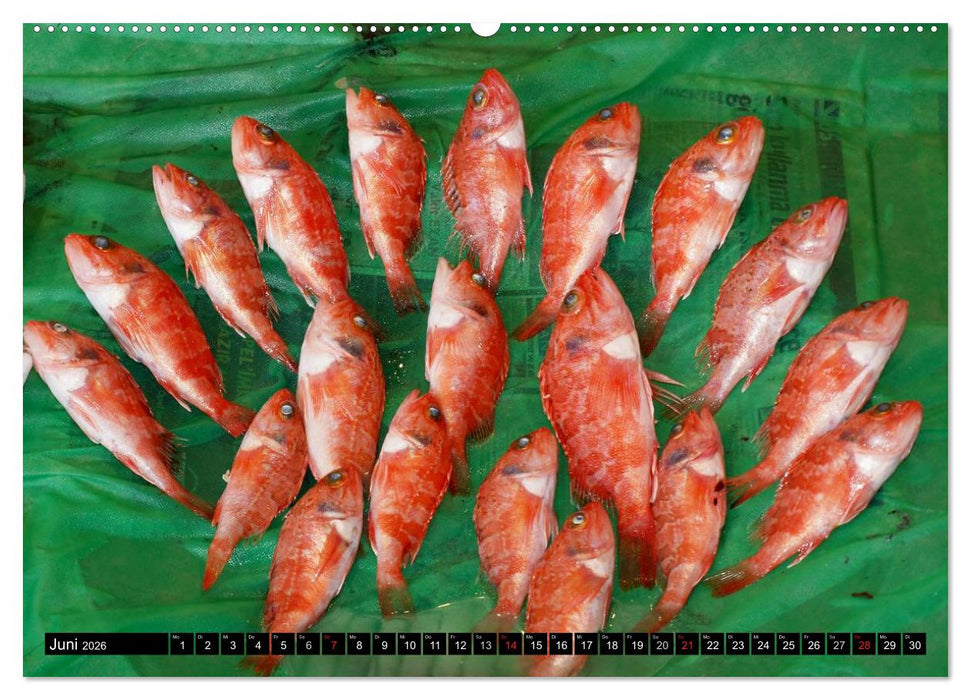 Istanbul - Konstantinopel - Byzanz (CALVENDO Wandkalender 2026)