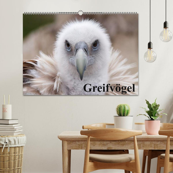 Greifvögel (CALVENDO Wandkalender 2026)